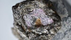 Some of the world’s oldest rubies linked to early life