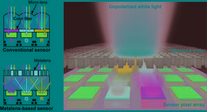 Color-Sorting Metalenses Boost Imaging Sensitivity