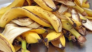 Getting hydrogen out of banana peels