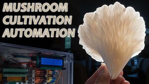 Mushroom Cultivation Automation: From Foraging To Fruiting
