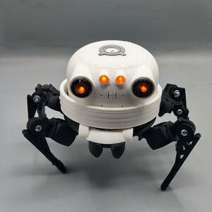 Asi, a 3D Printed Wearable Robot Friend