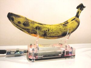 Generating true random numbers from bananas
