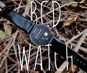 BCD Watch (Binary to Decimal)