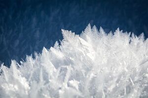 Researchers Demonstrate Organic Crystals Can Serve as Energy Converters for Emerging Technologies