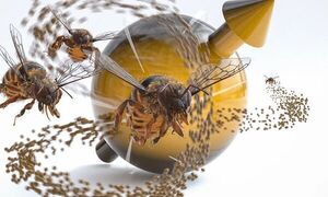 When quan­tum par­ti­cles fly like bees