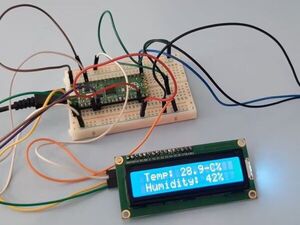 Temperature and humidity measurement