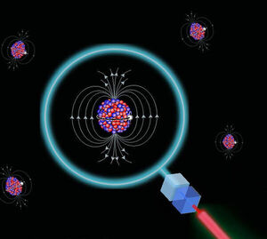 A new spin on nuclear magnetic moments