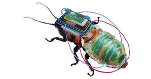 Robobug: a rechargeable, remote-controllable cyborg cockroach