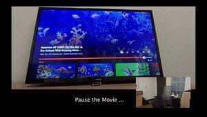 Auto-pause your TV