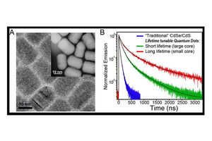 New quantum dots study uncovers implications for biological imaging