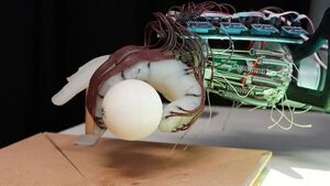 It’s all in the wrist: energy-efficient robot hand learns how not to drop the ball