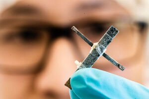 The world’s first wood transistor